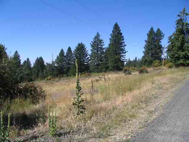 0 North Conklin Road Chattaroy, WA 99003 - Photo 4 of 7