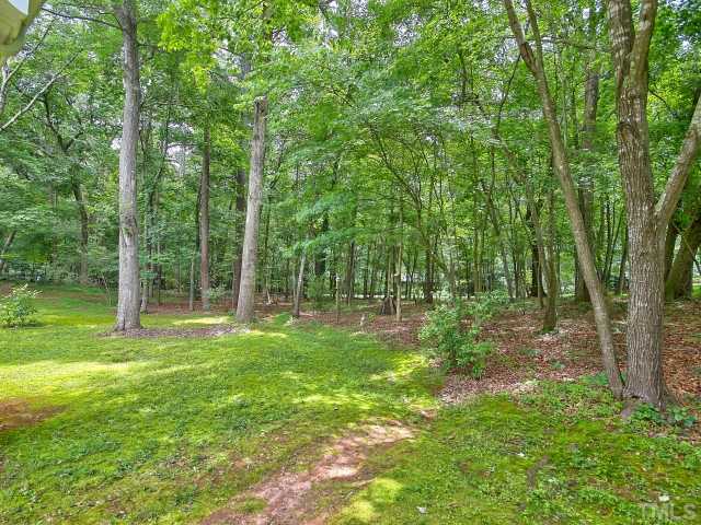 113 Bayleaf Drive Raleigh, NC 27615 - Photo 23 of 23 This piece of property is really amazing.
