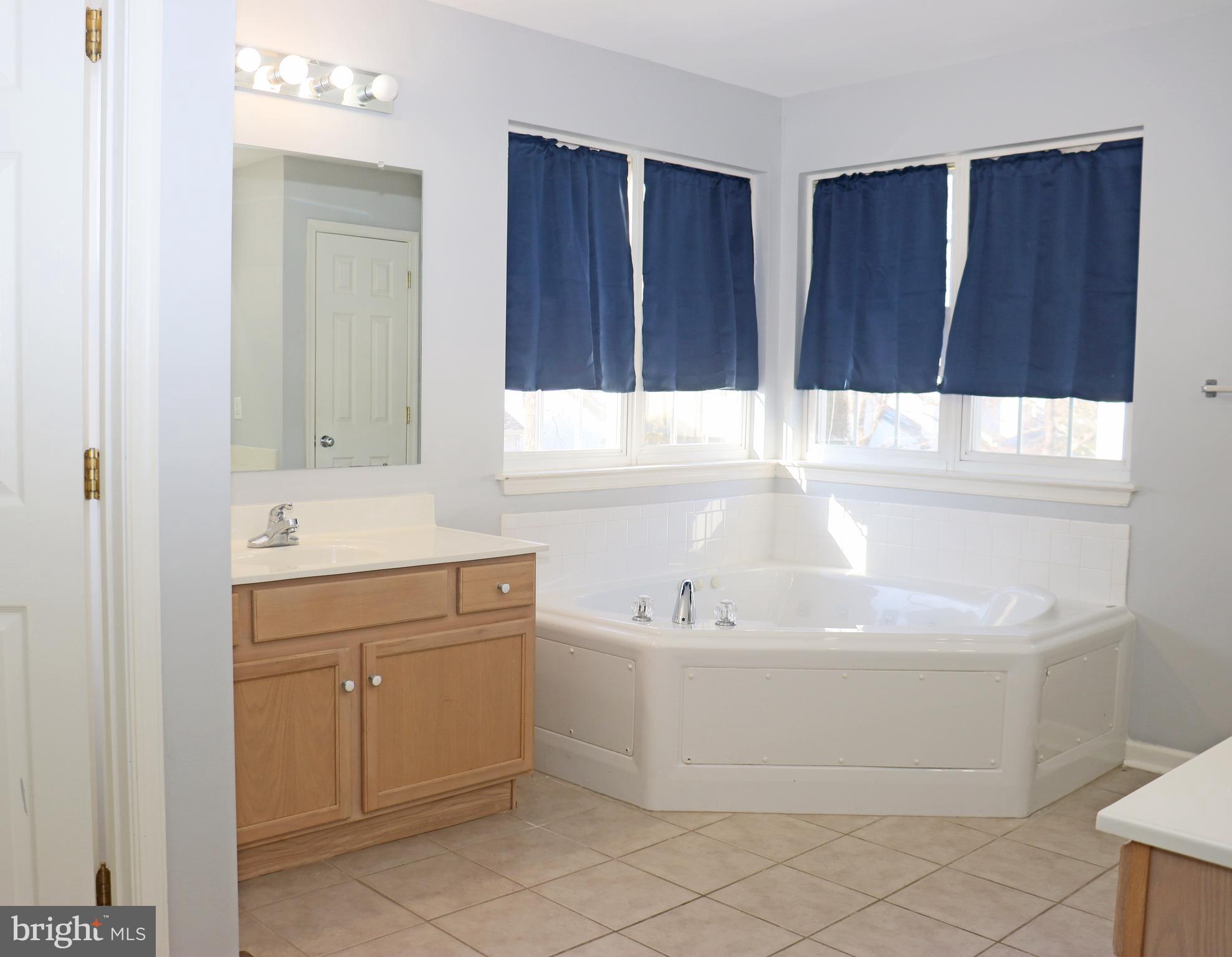 24 Blue Spruce Drive Bear, DE 19701 - Photo 10 of 13 a bathroom with a bathtub and a sink