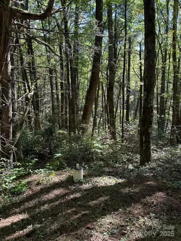 $235,000 | 1 Bear Log Road, Cashiers, NC 28717