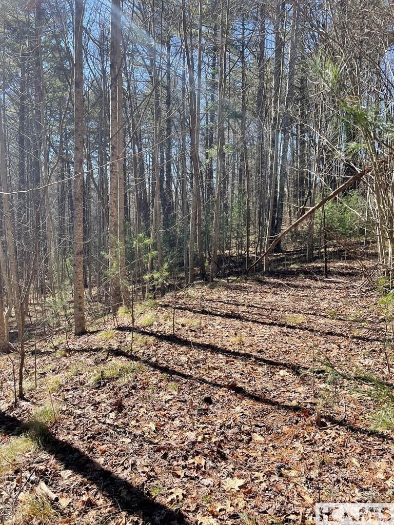 1 Bear Log Road Cashiers, NC 28717 - Photo 4 of 11