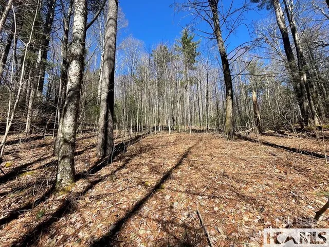 $235,000 | 1 Bear Log Road, Cashiers, NC 28717