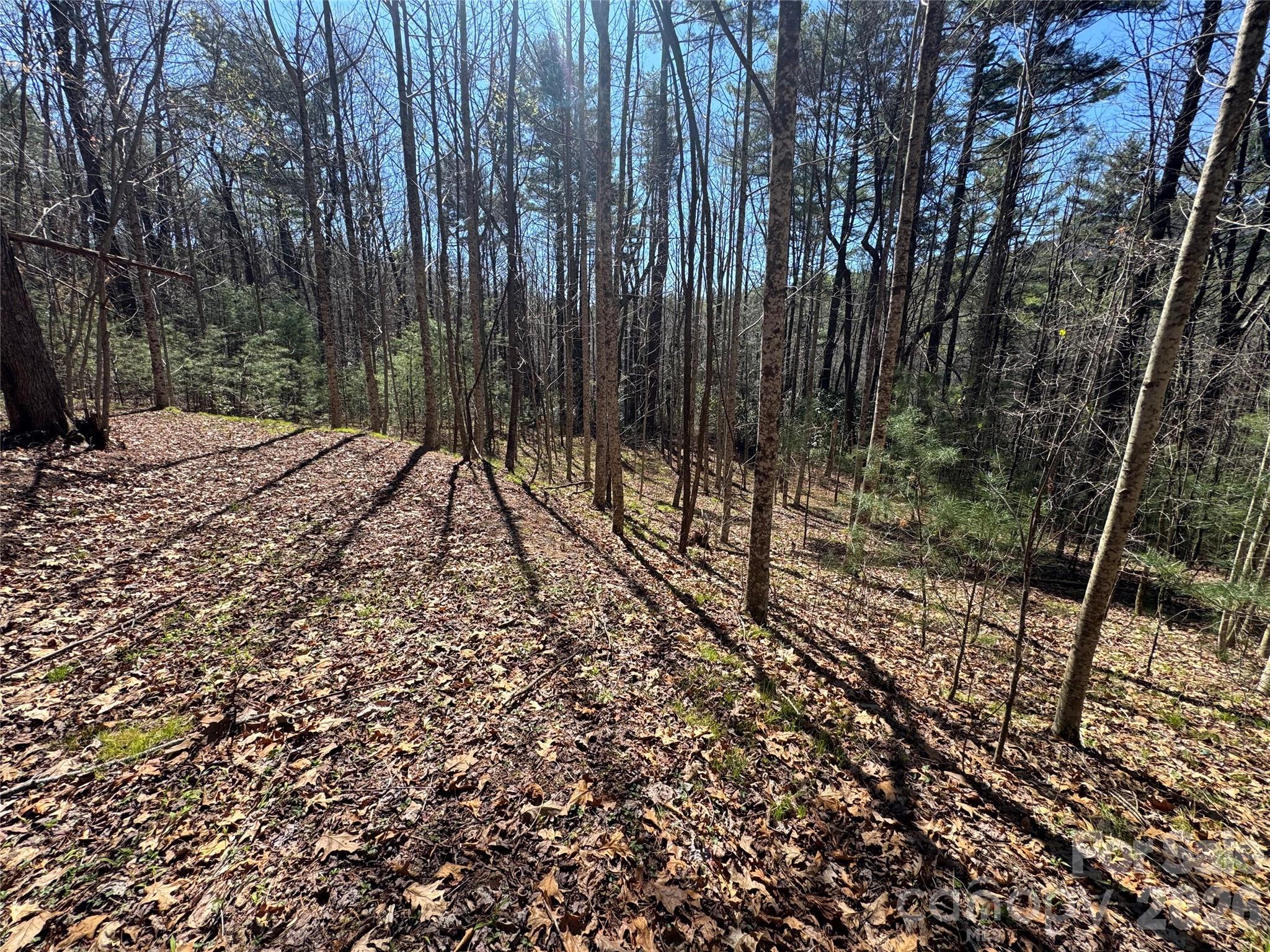 1 Bear Log Road Cashiers, NC 28717 - Photo 6 of 10 a view of a backyard with trees