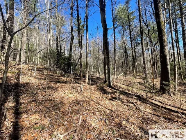 $235,000 | 1 Bear Log Road, Cashiers, NC 28717
