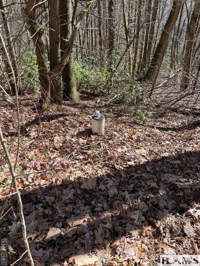 1 Bear Log Road Cashiers, NC 28717 - Photo 8 of 11