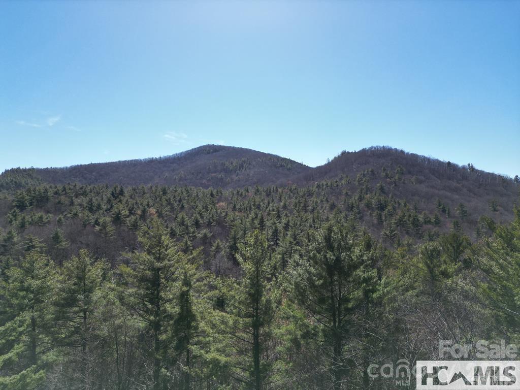 1 Bear Log Road Cashiers, NC 28717 - Photo 10 of 10 a view of a dry field