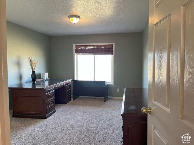 750 South Big Road Soda Springs, ID 83276 - Photo 17 of 40 Neutral-toned walls complement the textured carpeting