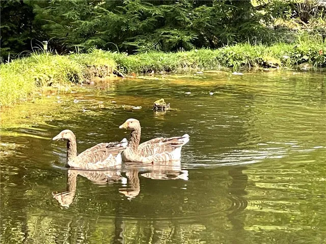 a view of a ocean view