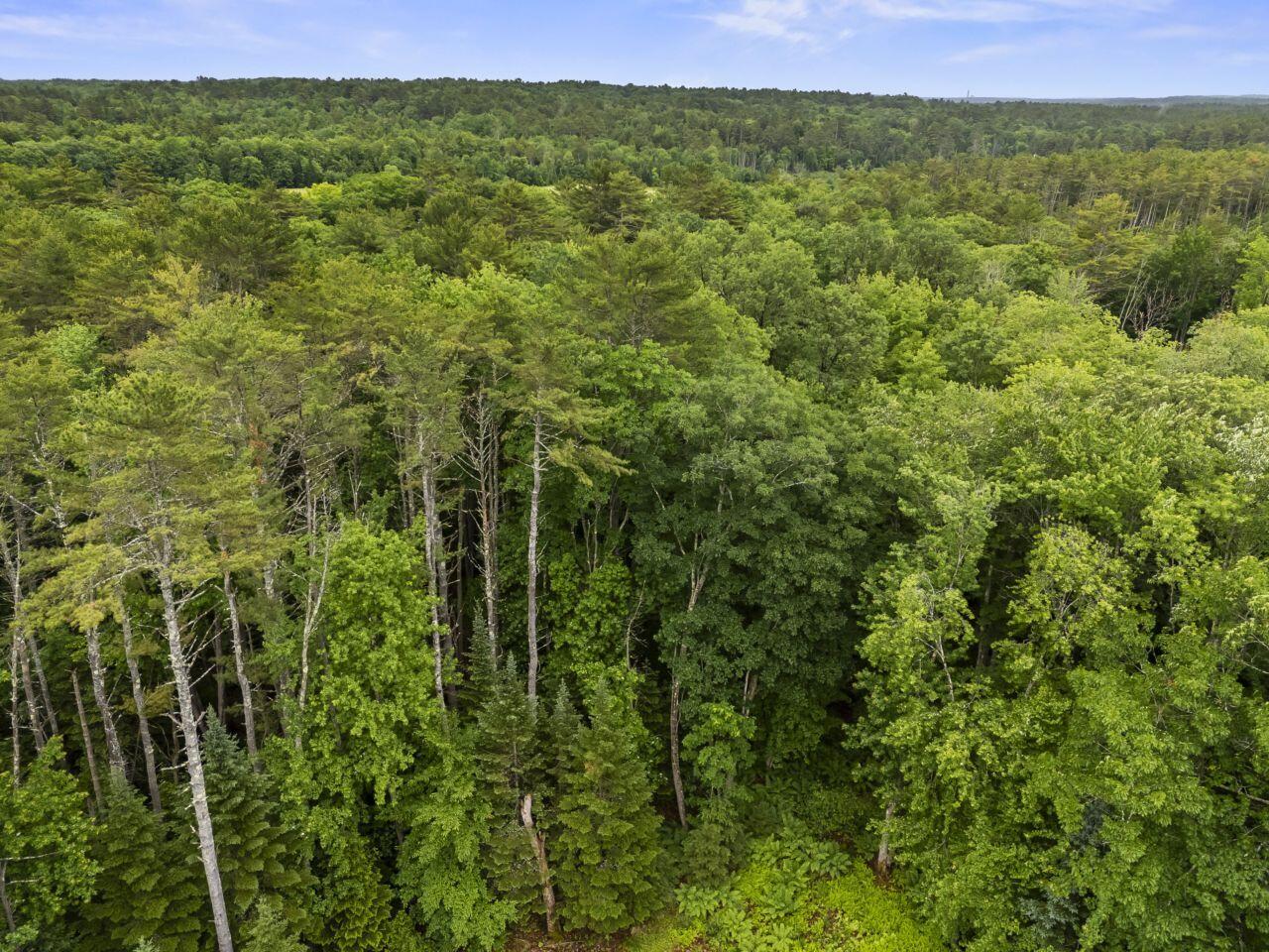Lot 29 Elmwood Road Pownal, ME 04069 - Photo 15 of 24 photos_web_resolution_Lot_006_029_Elmwoo