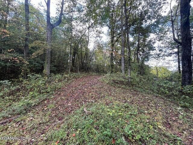 2 Granite Road Clinton, TN 37716 - Photo 8 of 11 Gallery Image 8