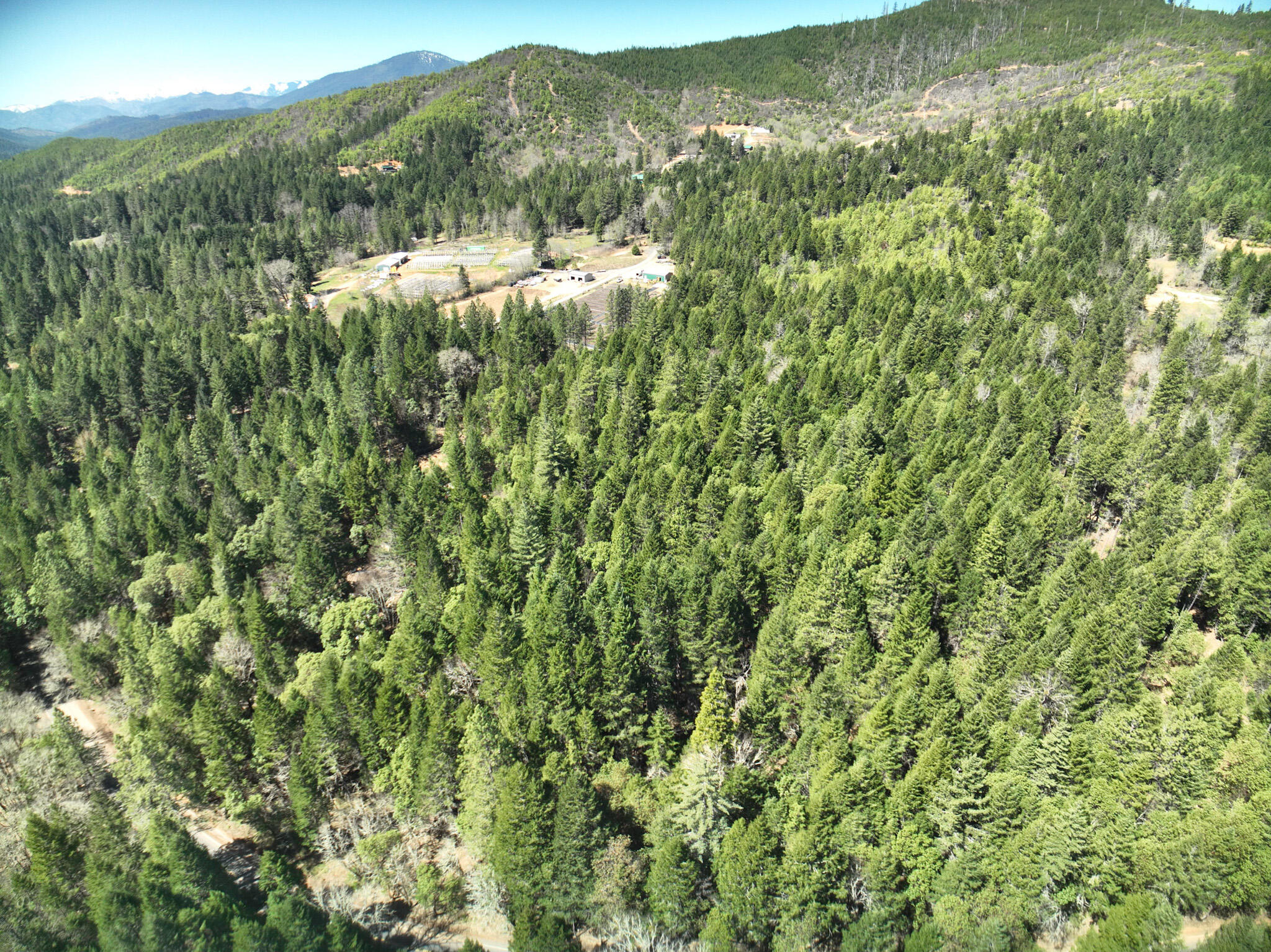 1000 Crooks Creek Road Selma, OR 97538 - Photo 17 of 28 17