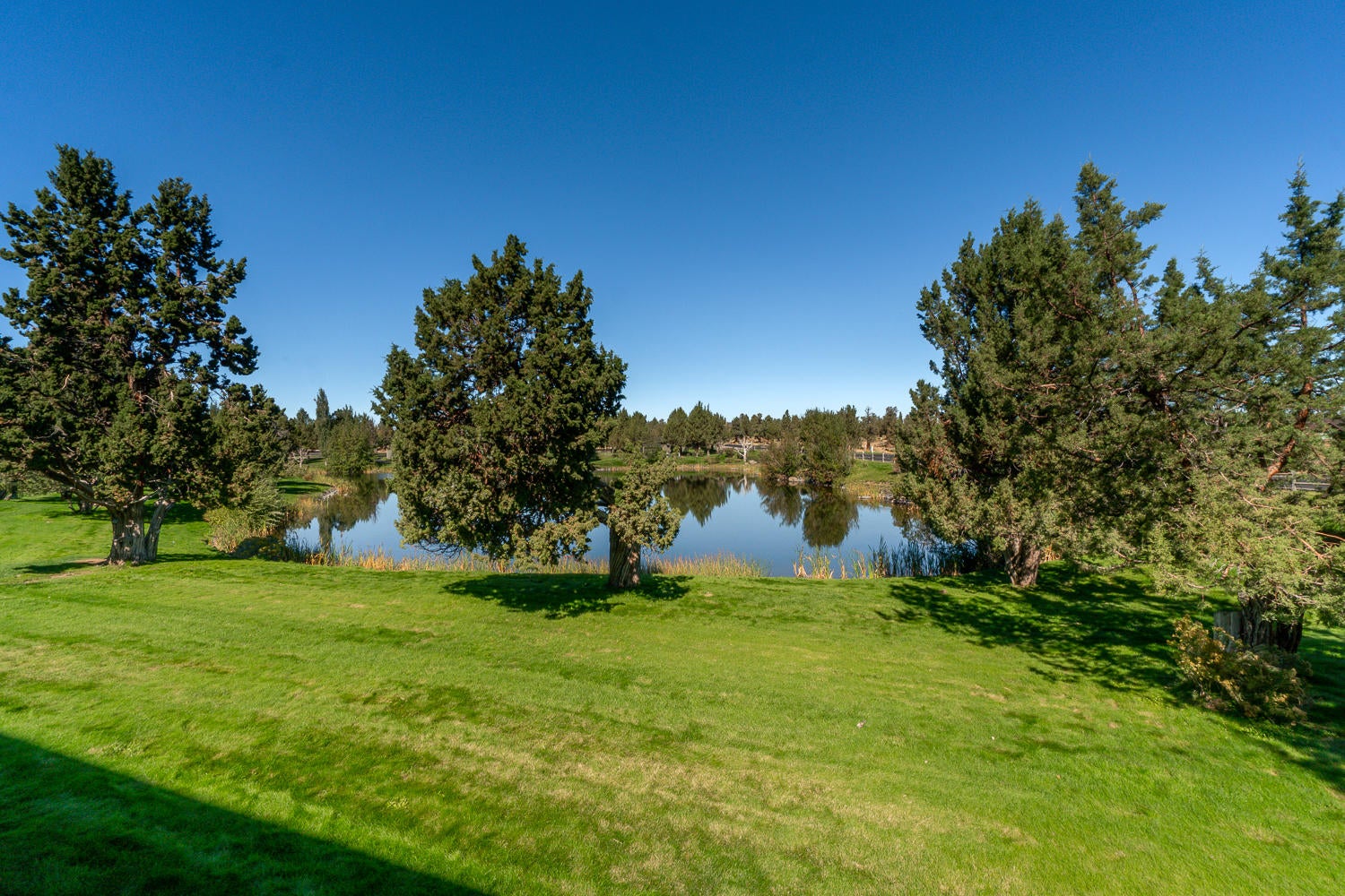 1422 Highland View Loop Redmond, OR 97756 - Photo 12 of 35 1422-006