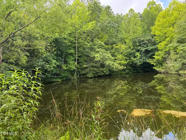 $165,000 | 102 Perry Smith Lane, Unit PO2, Rogersville, TN 37857