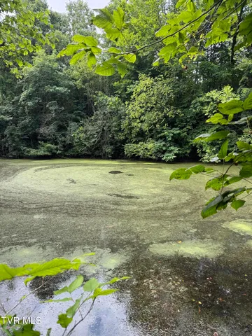 $165,000 | 102 Perry Smith Lane, Unit PO2, Rogersville, TN 37857