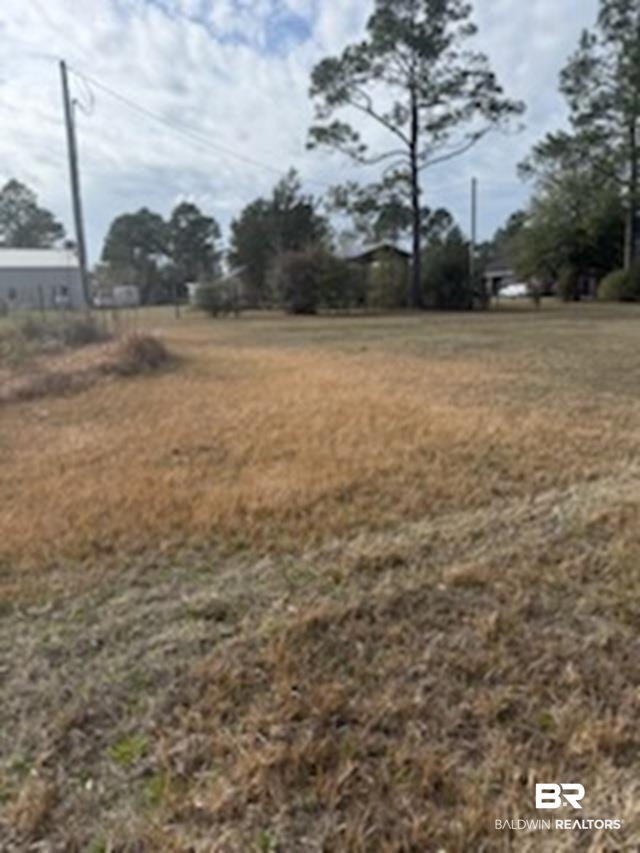 32840 Seminole Road West Seminole, AL 36574 - Photo 11 of 11 View of yard