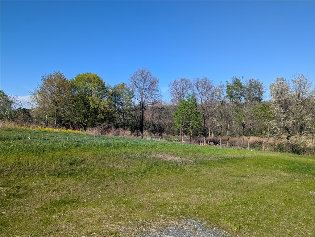 0 Co Road Palmyra, NY 14522 - Photo 5 of 6