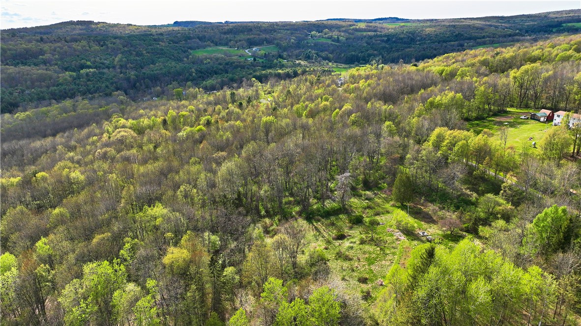 175 Sisson Hill Road Unadilla, NY 13849 - Photo 1 of 1 Gallery Image 1