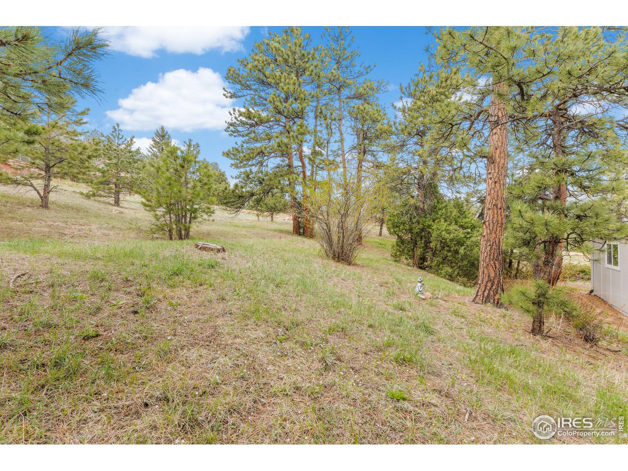 801 Kelly Road West Boulder, CO 80302 - Photo 26 of 33 a view of a yard with trees