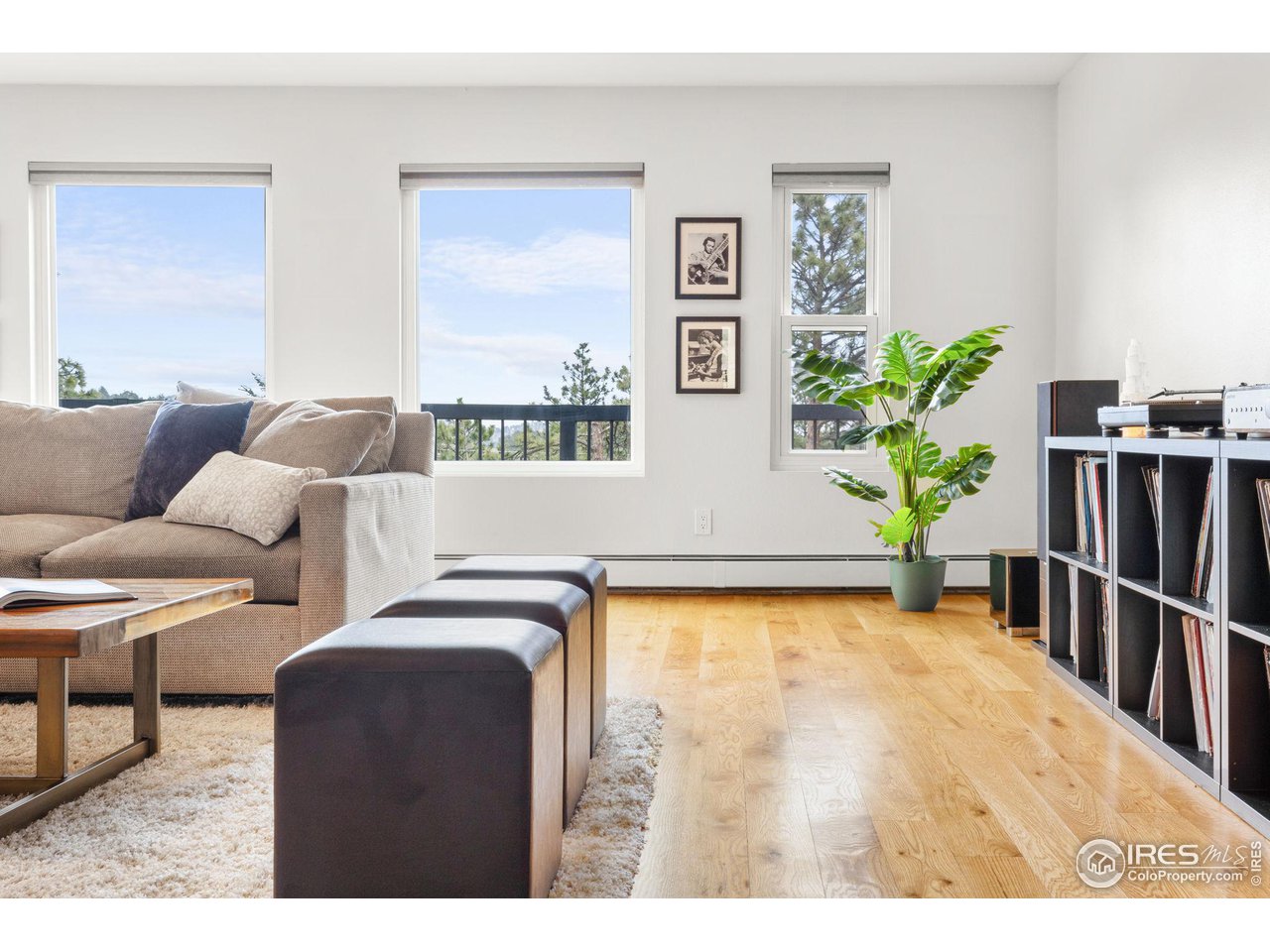 801 Kelly Road West Boulder, CO 80302 - Photo 7 of 33 a living room with furniture and a potted plant