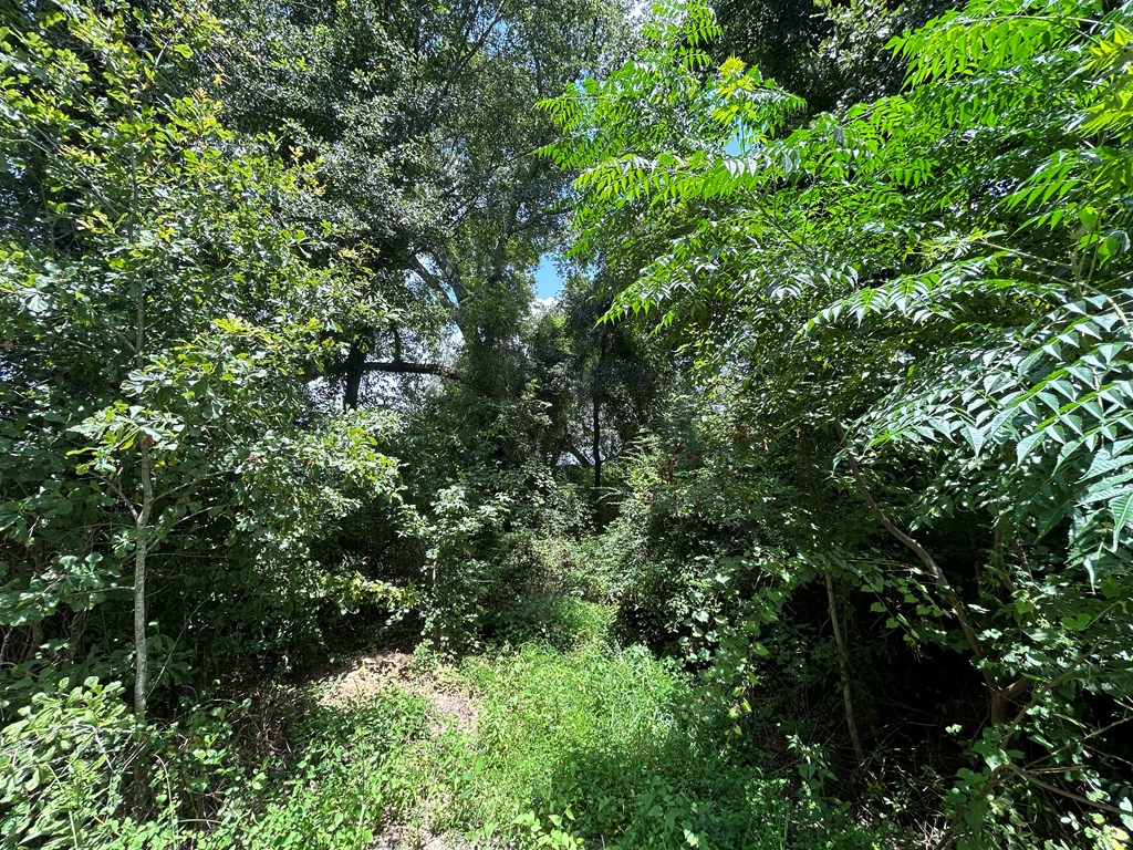 76.47-ac Eddins Road Dothan, AL 36301 - Photo 22 of 44