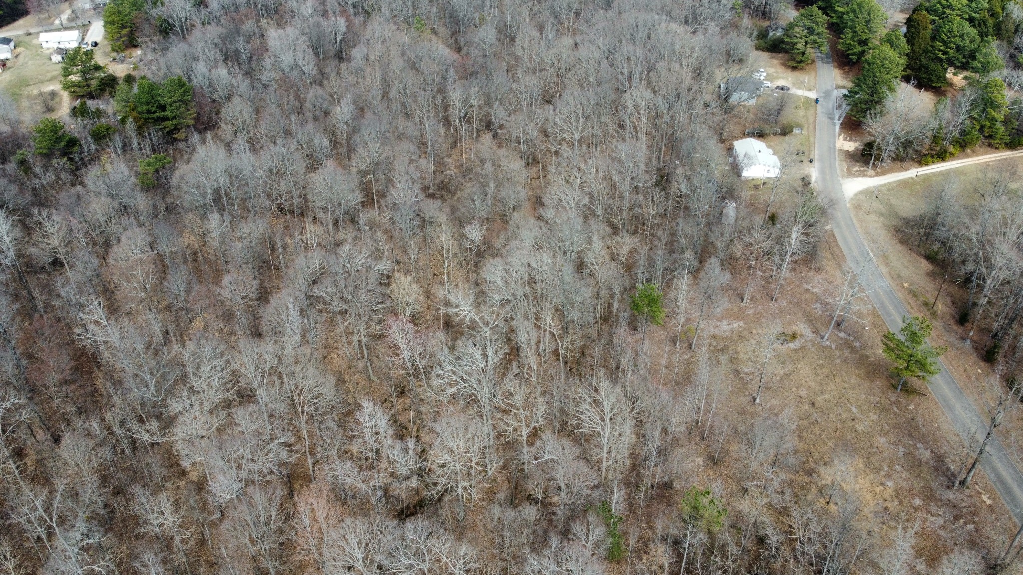 0 St Paul Church Road Huntingdon, TN 38344 - Photo 14 of 20 Gallery Image 14