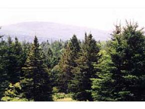 - Bilodeau Road Brighton, VT 05846 - Photo 3 of 5 Gallery Image 3