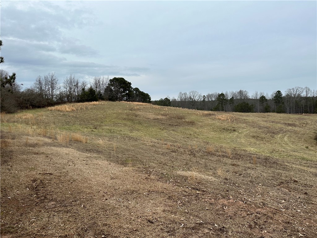 12.25-acres White Cut Road Walhalla, SC 29691 - Photo 4 of 5 Gallery Image 4