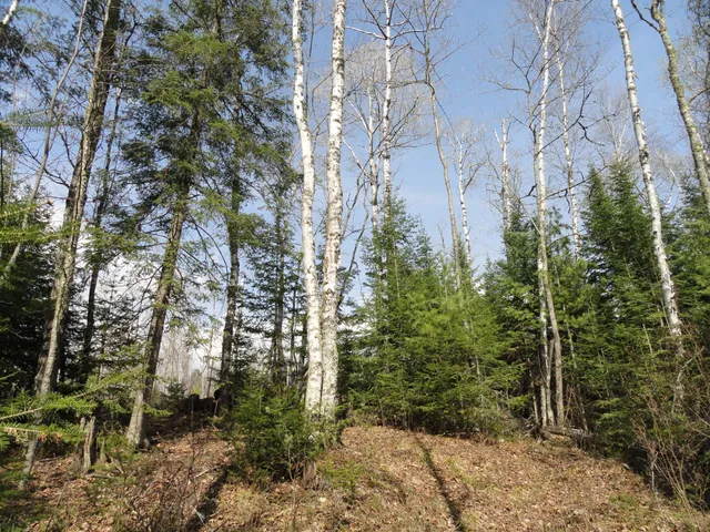 $38,000 | 6047 Voyageur's Trail, Biwabik, MN 55705