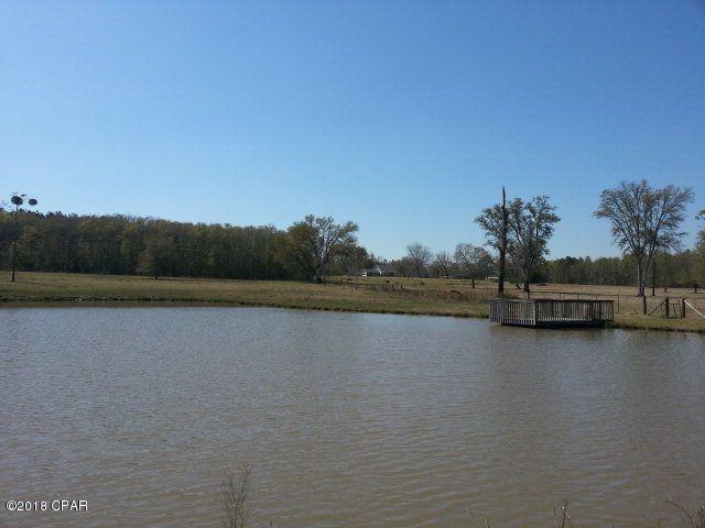 4684 Cliff Road Graceville, FL 32440 - Photo 72 of 75