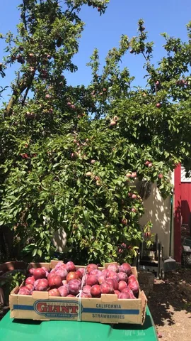 $875,000 | 1723 Pheasant Drive, Hercules, CA 94547