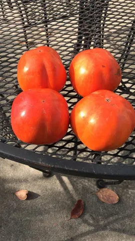 $875,000 | 1723 Pheasant Drive, Hercules, CA 94547