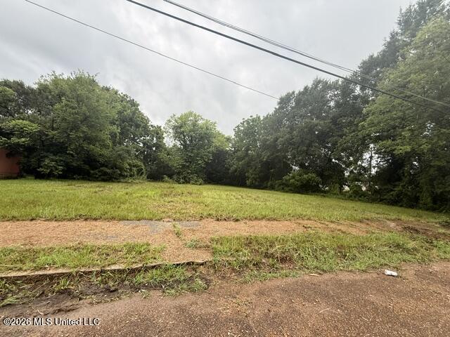 Earl Street Jackson, MS 39203 - Photo 2 of 2 Earl Street Property
