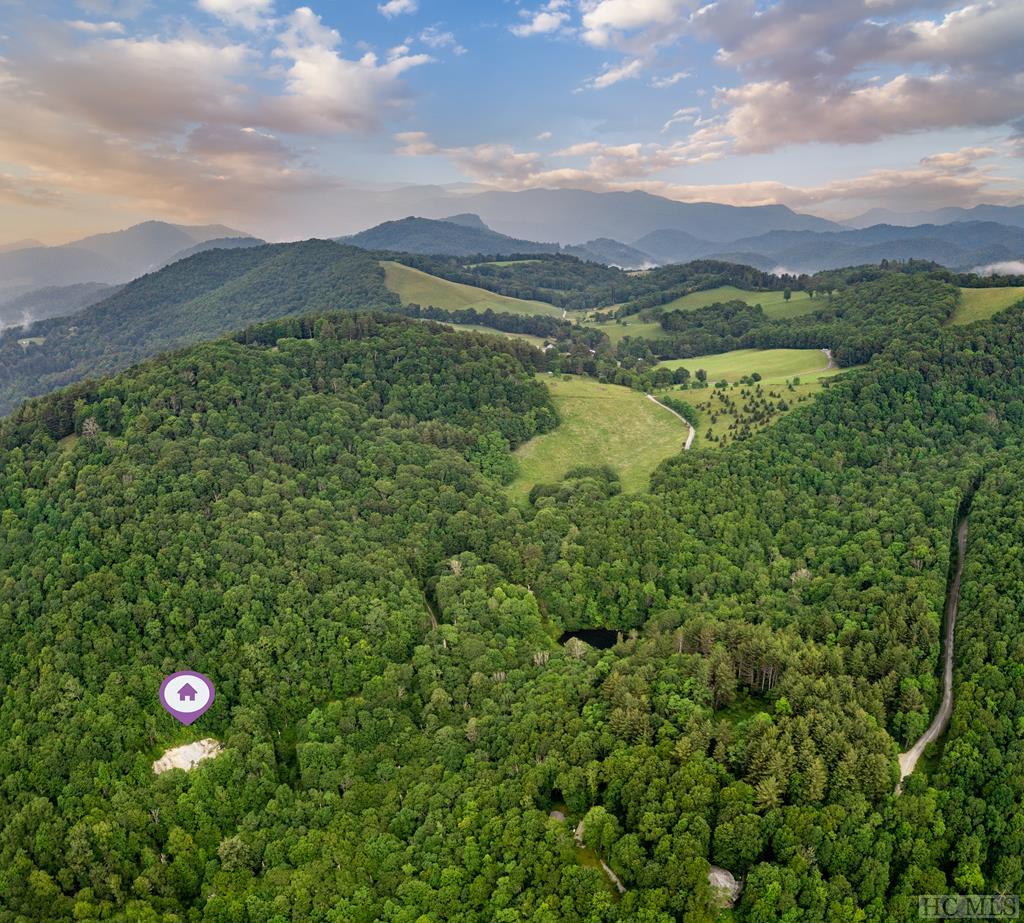Tbd Fowler Road Glenville, NC 28736 - Photo 11 of 14 Gallery Image 11