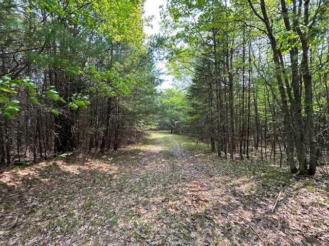 On Sunset Road Eagle River, WI 54521 - Photo 11 of 11 Gallery Image 11