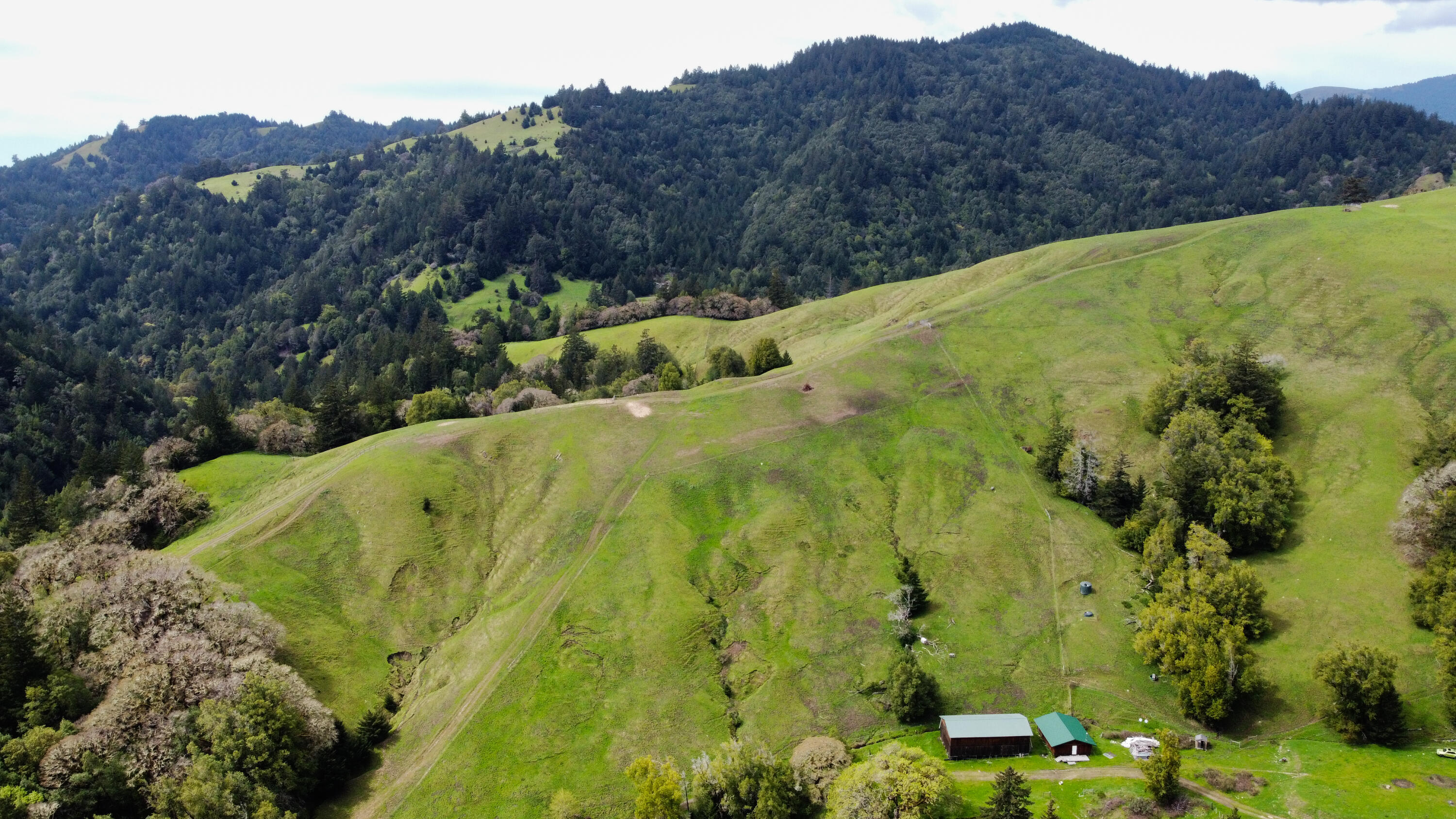 4001 Conklin Creek Road Ferndale, CA 95536 - Photo 65 of 125