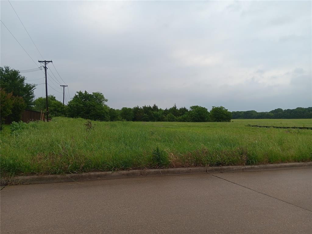 1400 West Wintergreen Road Lancaster, TX 75134 - Photo 3 of 4 View of asphalt street featuring curbs