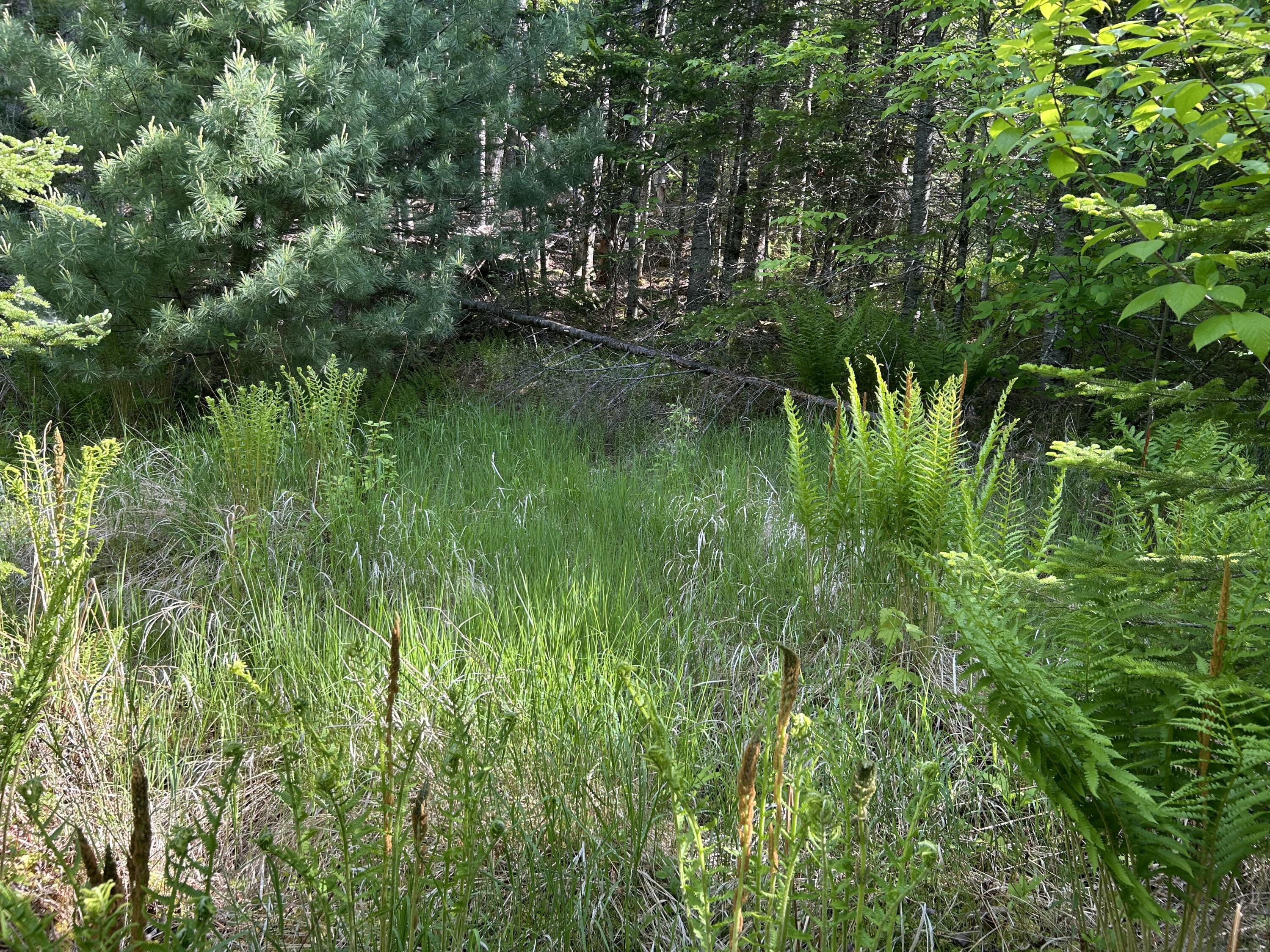 M5-l13 Clark Road Prospect, ME 04981 - Photo 27 of 33 IMG_8804