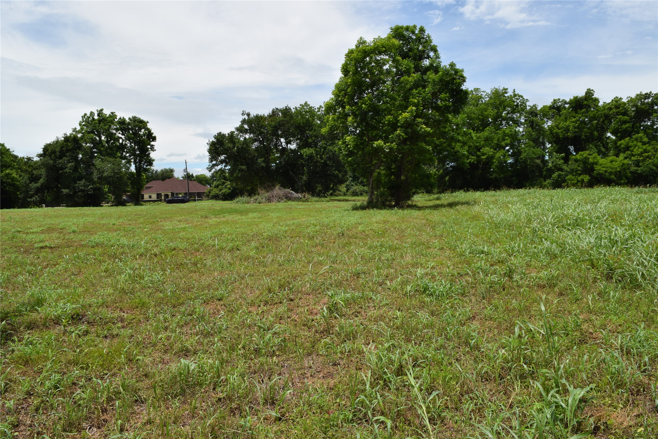 22819 Pittman Drive Angleton, TX 77515 - Photo 8 of 15 From the back of the lot, looking down the North property line back toward the road.