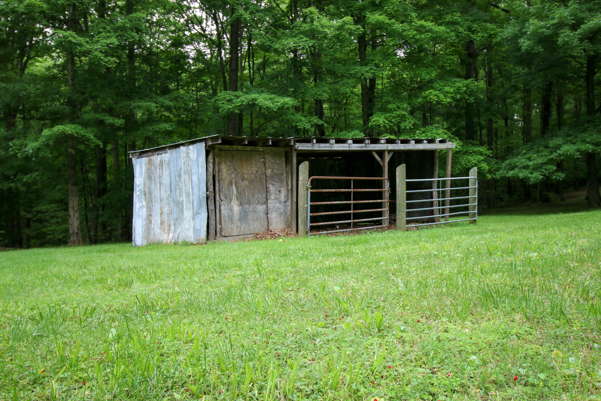 1280 Walker Road Goodlettsville, TN 37072 - Photo 7 of 23 Gallery Image 7