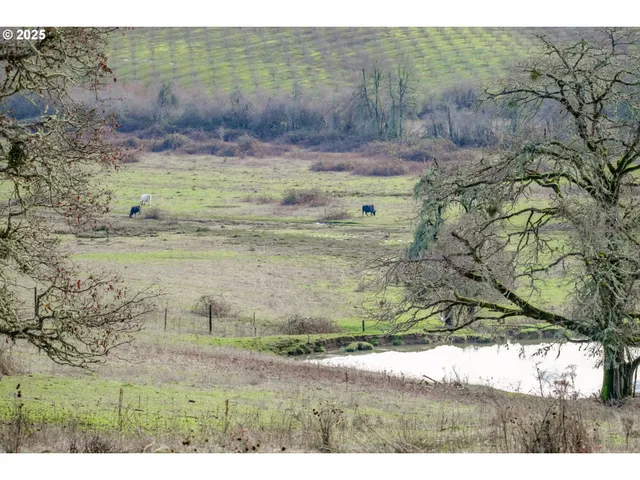 a view of a yard with an outdoor space