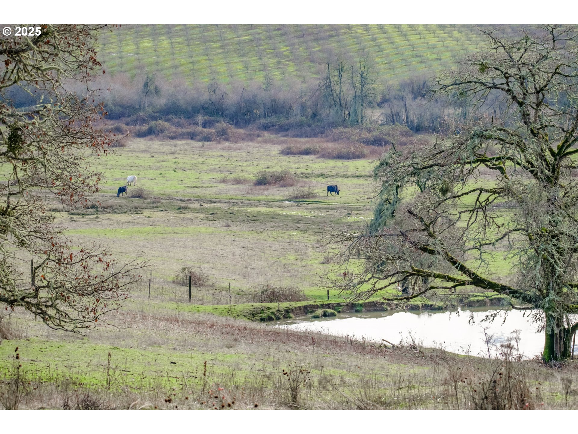 0 Next To) Airlie Road Monmouth, OR 97361 - Photo 11 of 34 a view of a yard with an outdoor space