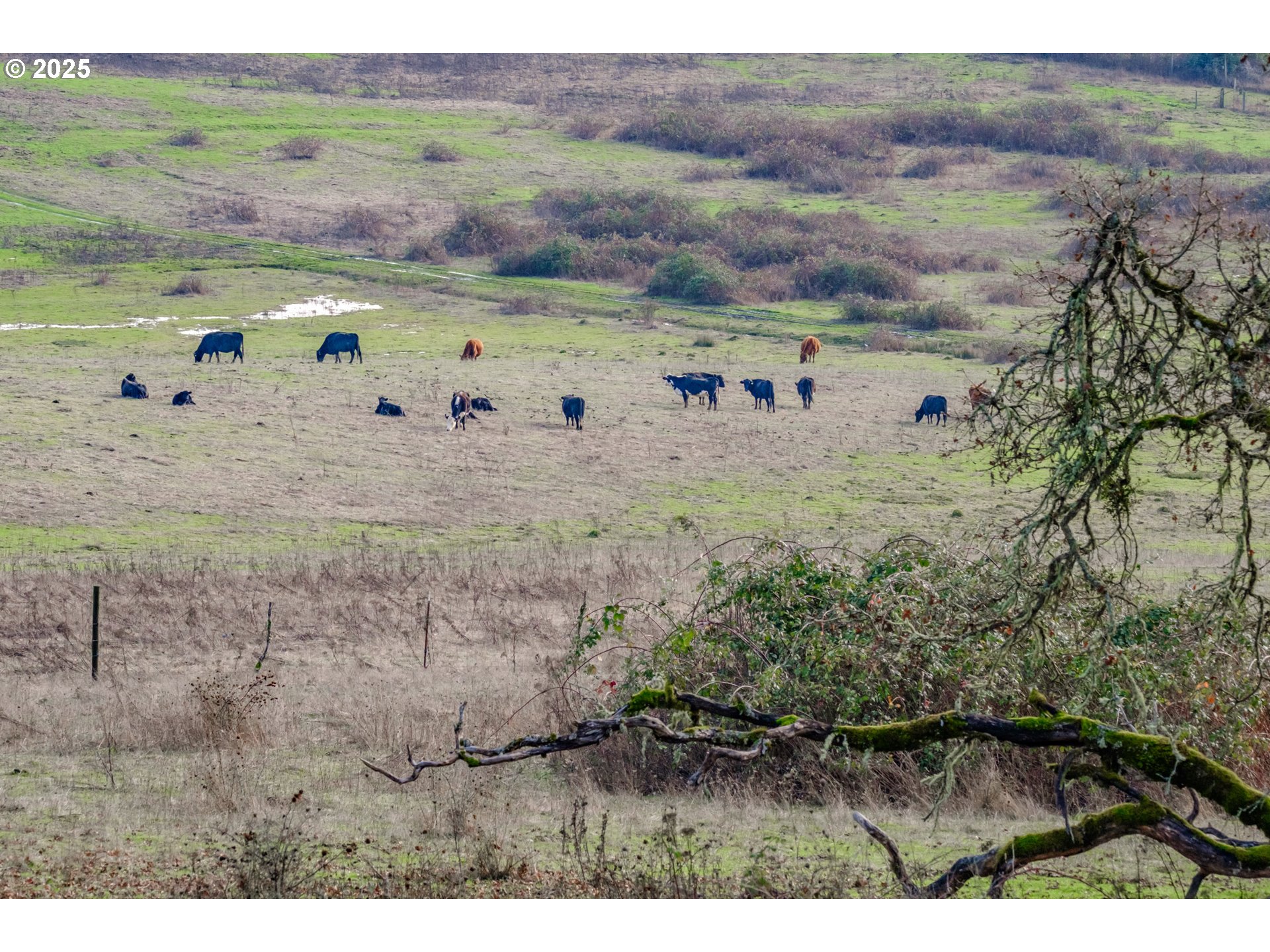 0 Next To) Airlie Road Monmouth, OR 97361 - Photo 12 of 34 a view of a field with an ocean view