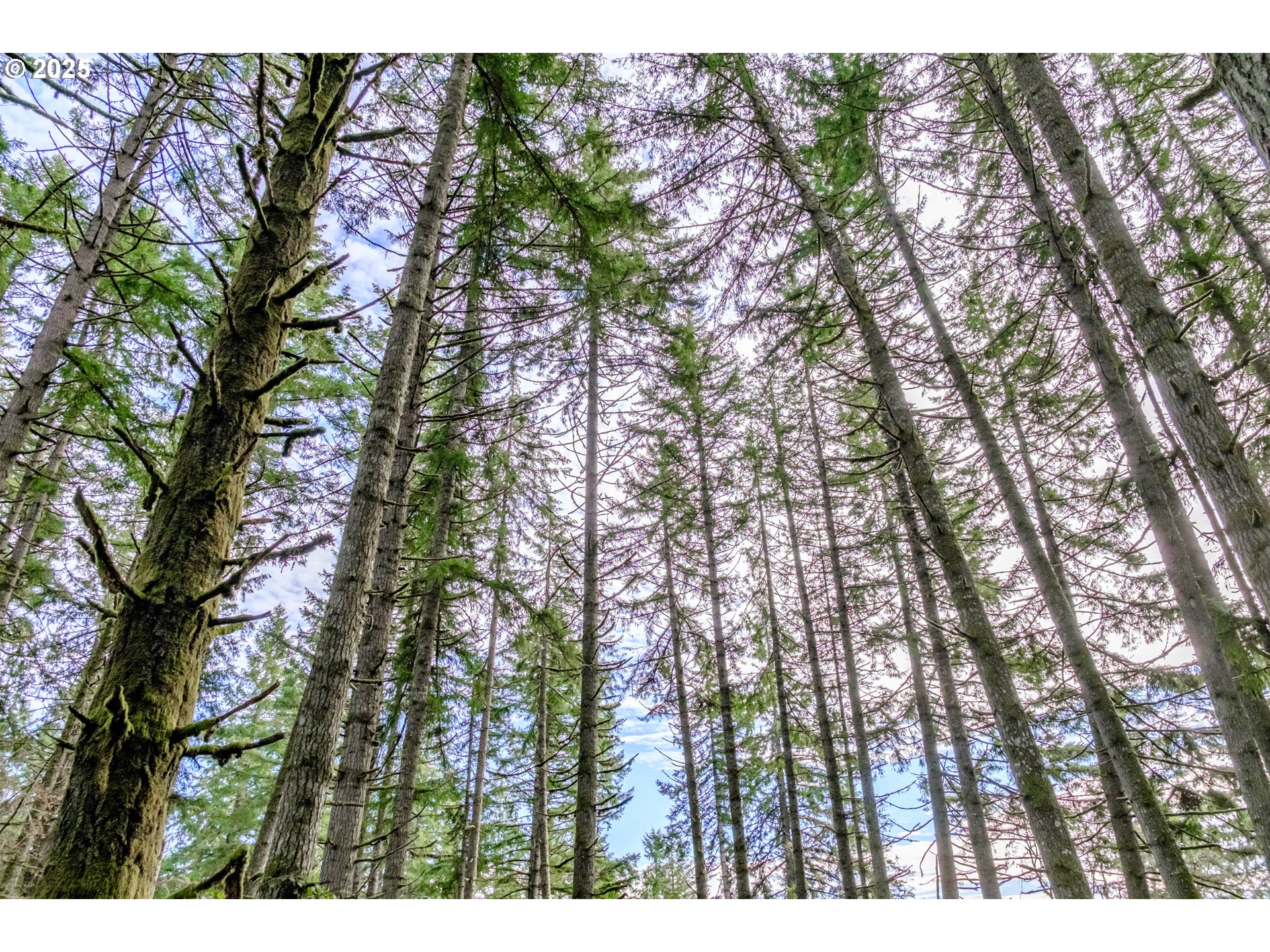 0 Next To) Airlie Road Monmouth, OR 97361 - Photo 14 of 34