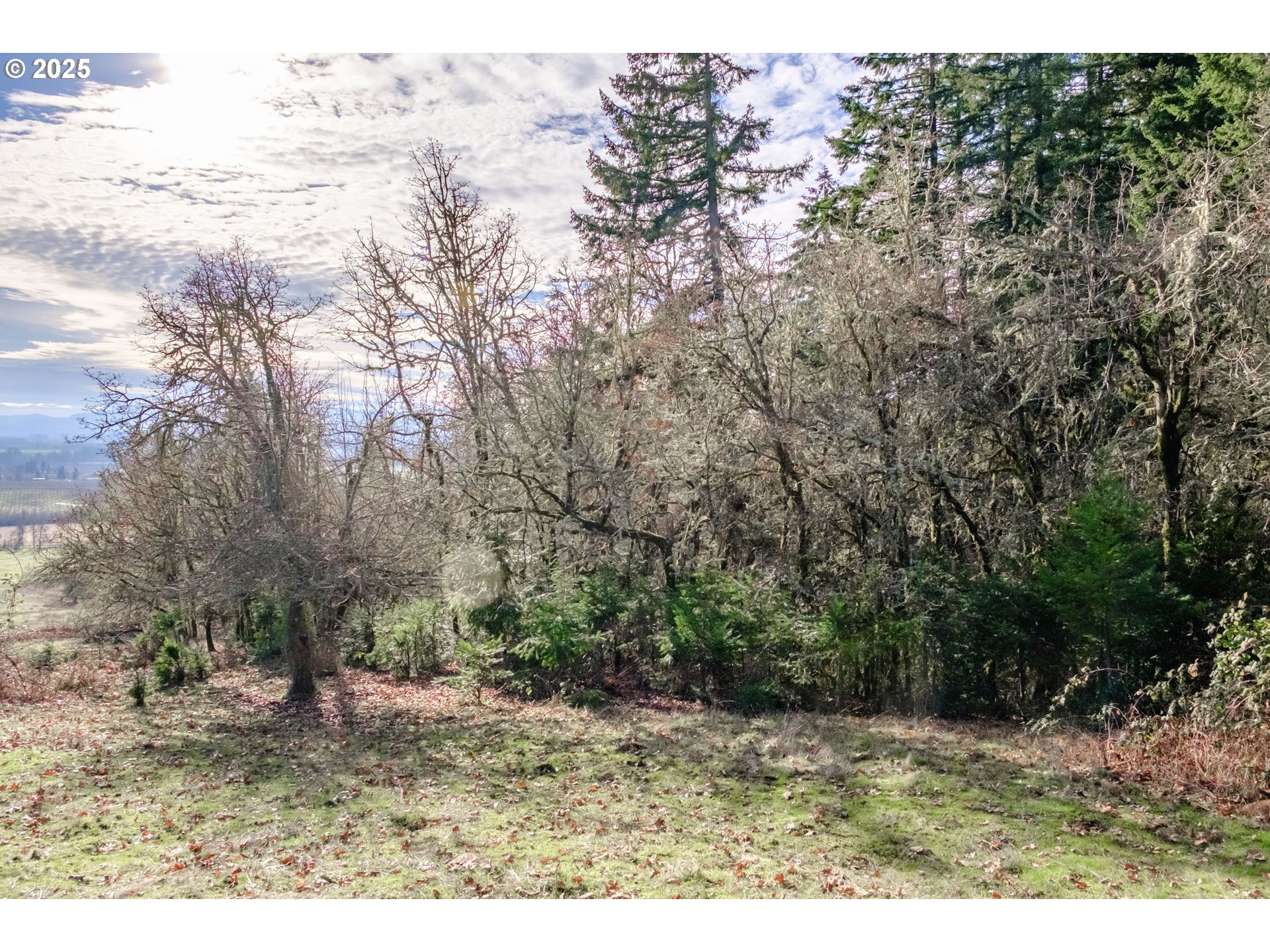 0 Next To) Airlie Road Monmouth, OR 97361 - Photo 21 of 34 a view of outdoor space with mountain view