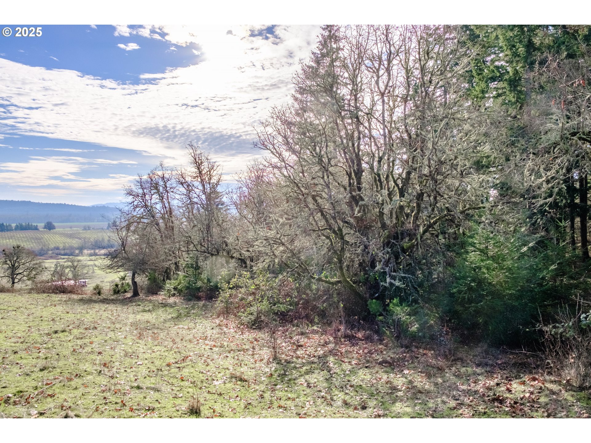 0 Next To) Airlie Road Monmouth, OR 97361 - Photo 22 of 34 a view of outdoor space and yard