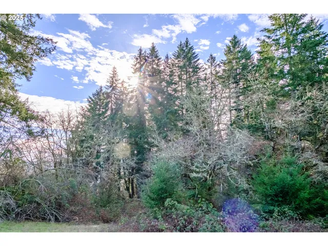a view of a field with an ocean