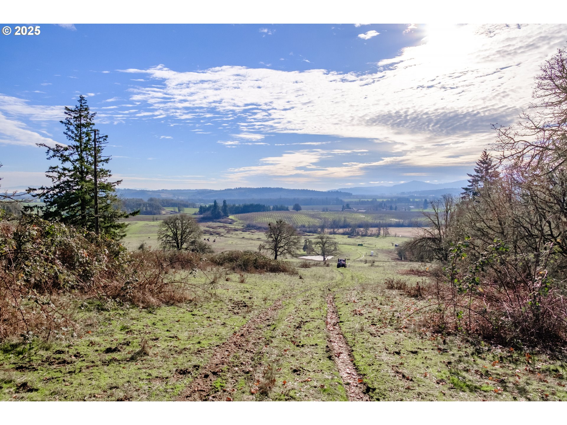 0 Next To) Airlie Road Monmouth, OR 97361 - Photo 25 of 34