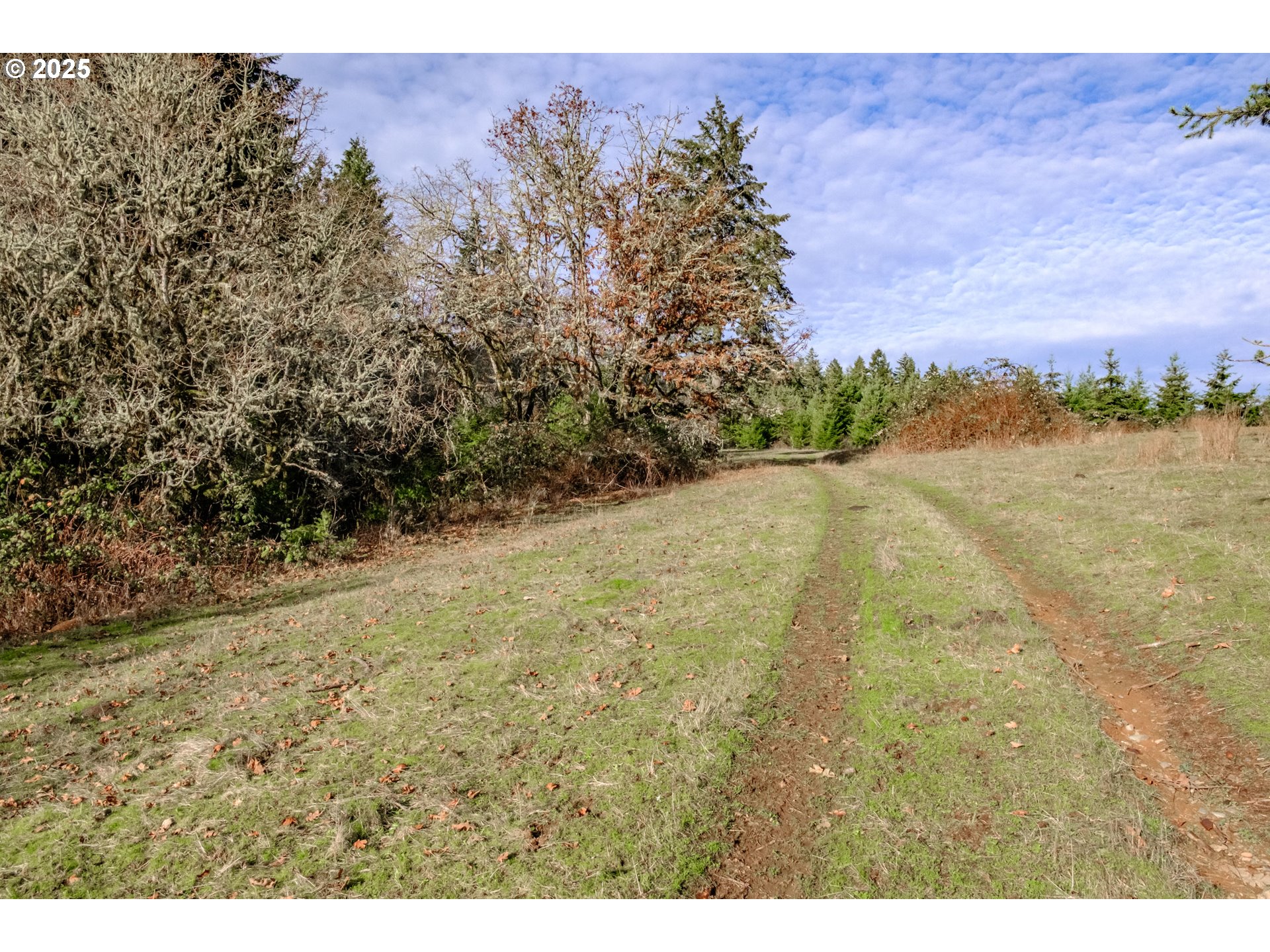0 Next To) Airlie Road Monmouth, OR 97361 - Photo 26 of 34 a view of an outdoor space and a yard