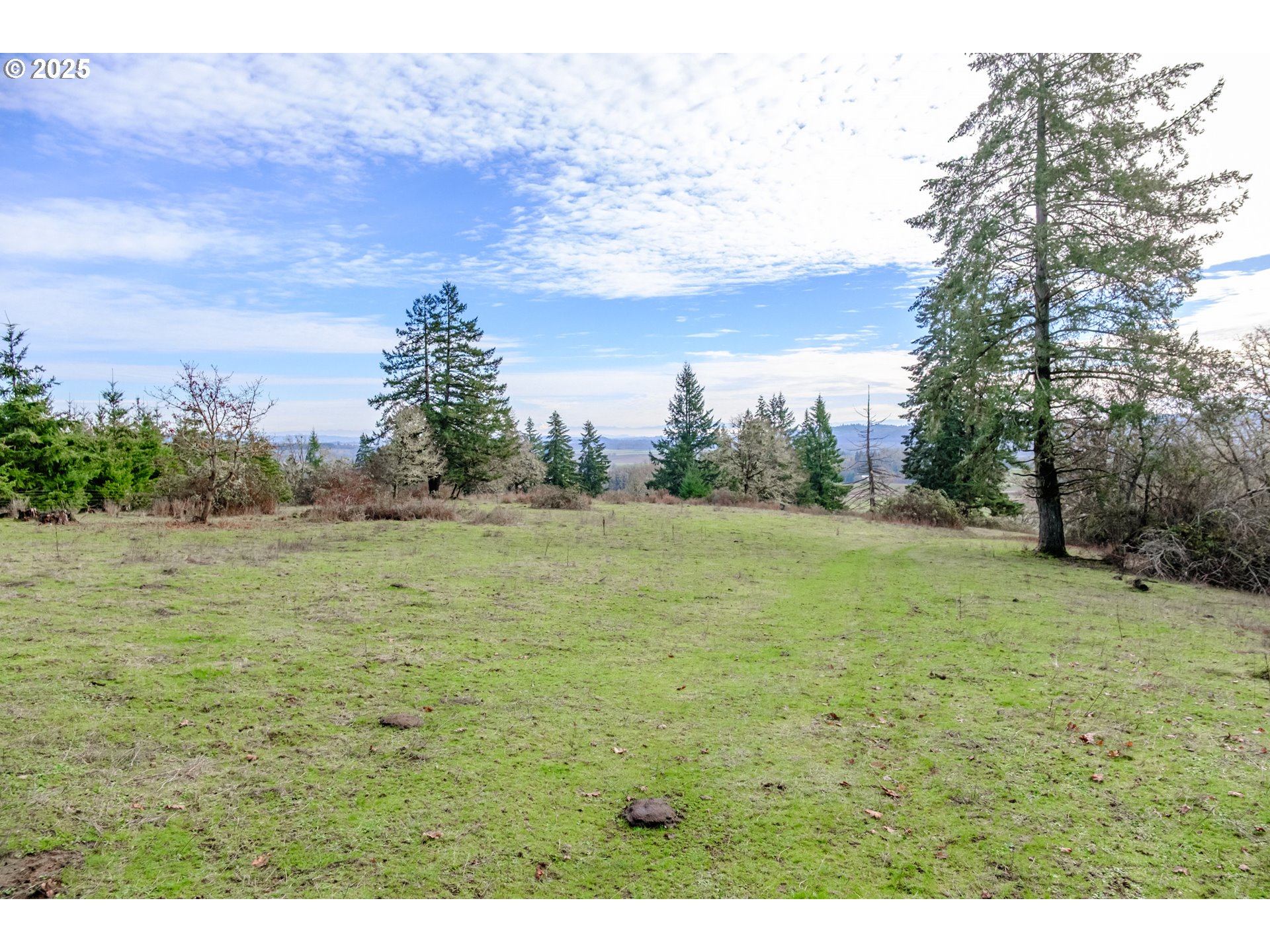 0 Next To) Airlie Road Monmouth, OR 97361 - Photo 28 of 34 a view of a field with an trees