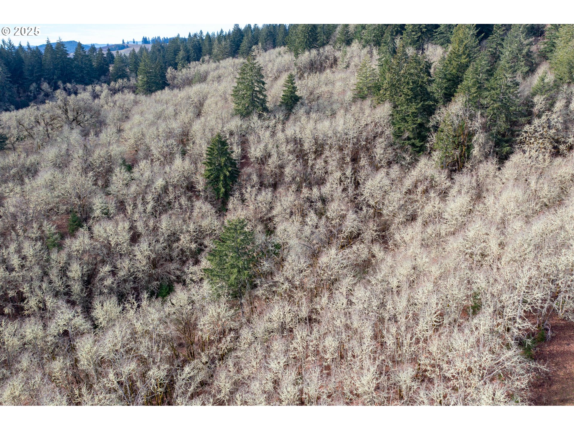 0 Next To) Airlie Road Monmouth, OR 97361 - Photo 30 of 34 a view of a dry yard